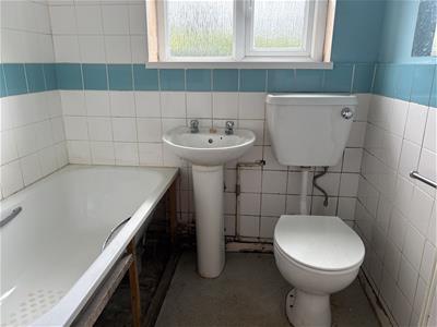 Picture 7